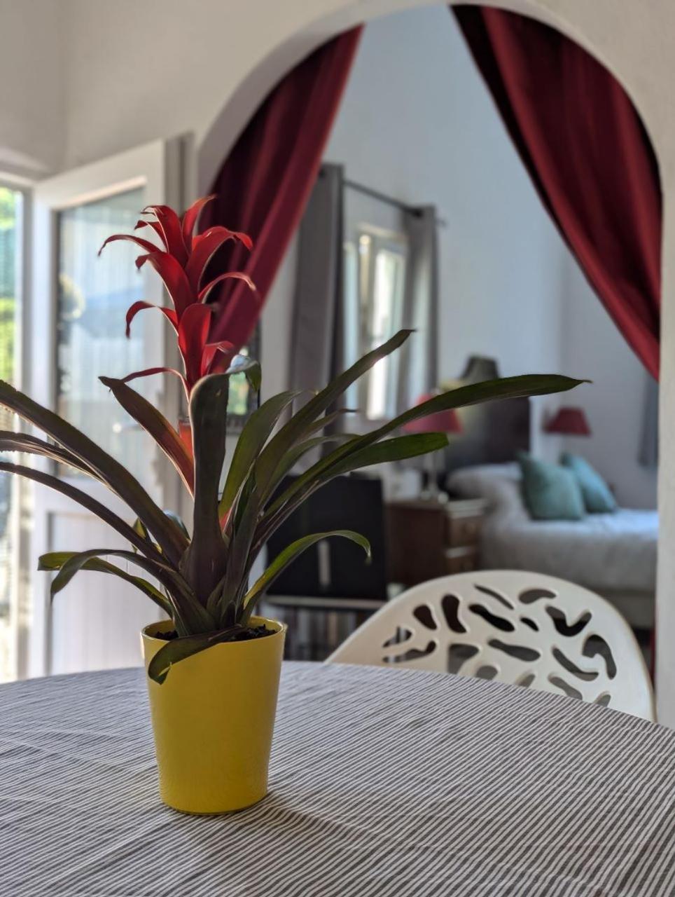 Tábua Casa Curral Do Porcoヴィラ エクステリア 写真